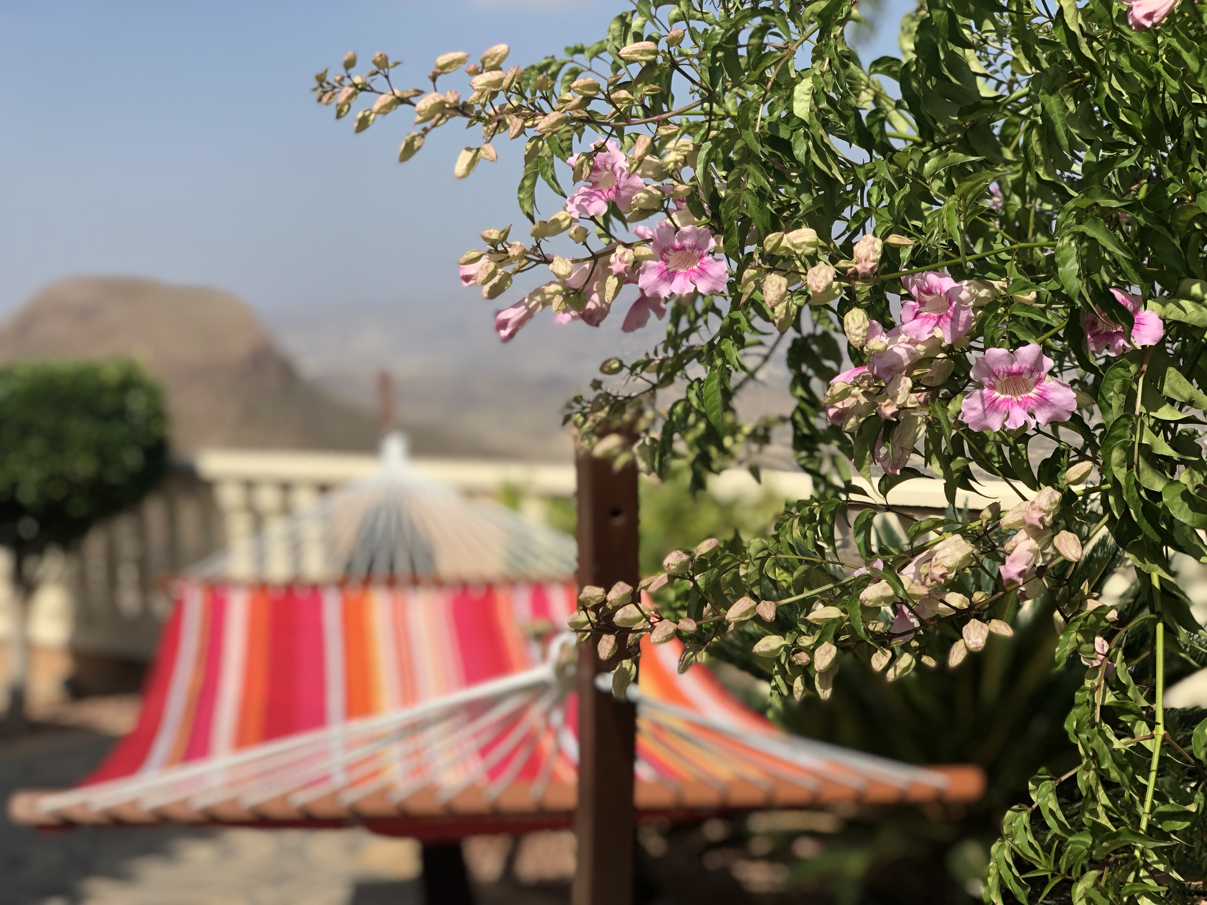 Moorish village and blossom
