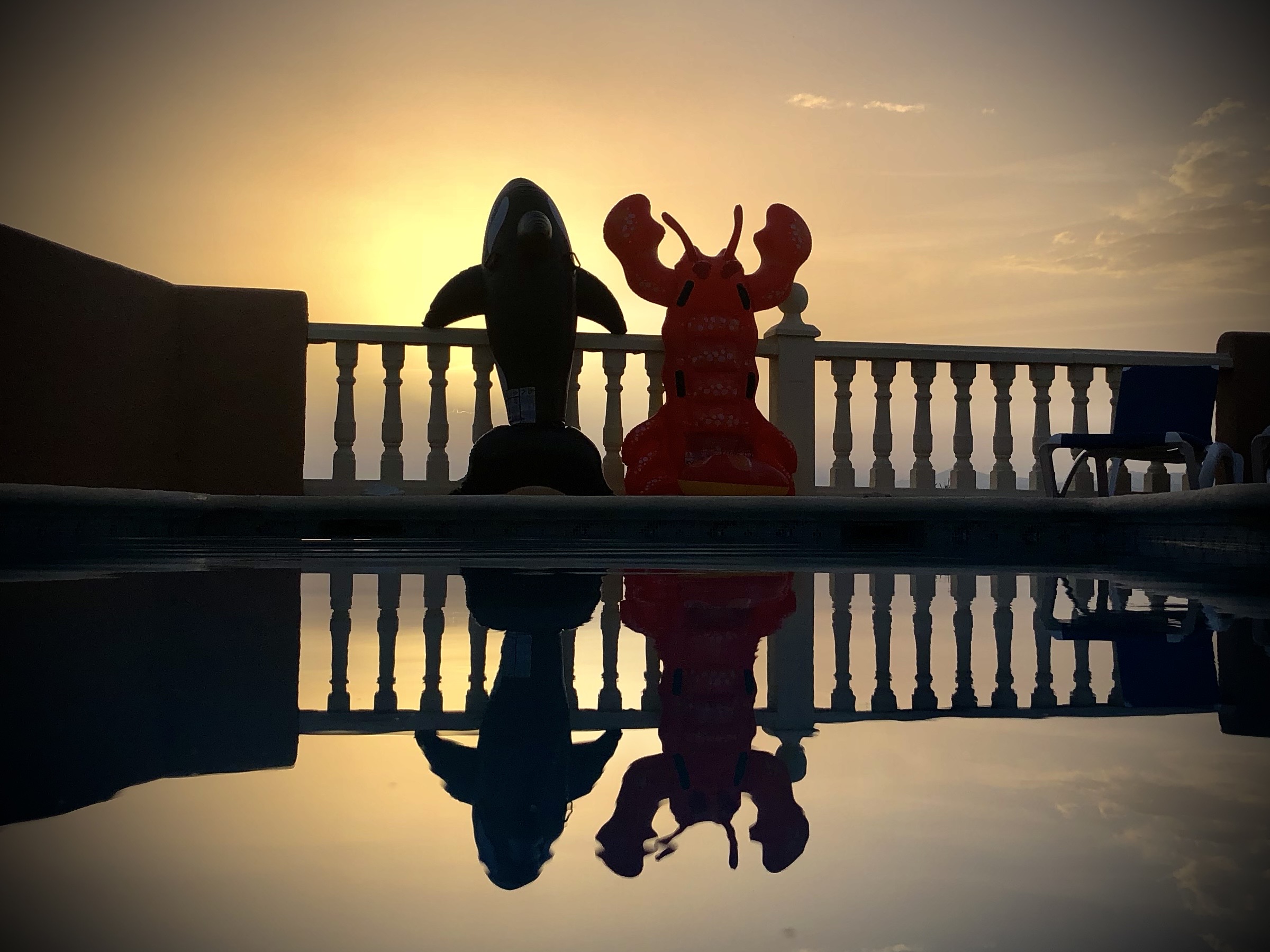 Sunrise reflection by the pool